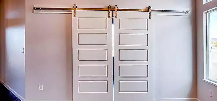 Glass Barn Door with Installation Hardware Kit South Bend